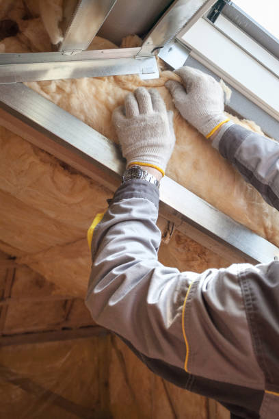 Best Insulation Maintenance and Repair in Galesville, WI