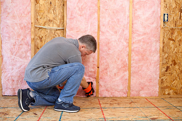 Best Insulation Maintenance and Repair in Galesville, WI